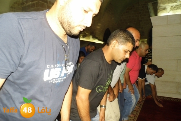 kaber trawe7 718 (21).JPG